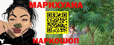 spice Обь