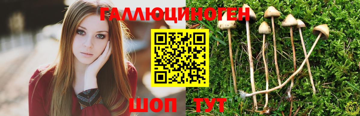 Галлюциногенные грибы MAGIC MUSHROOMS Сосновый Бор